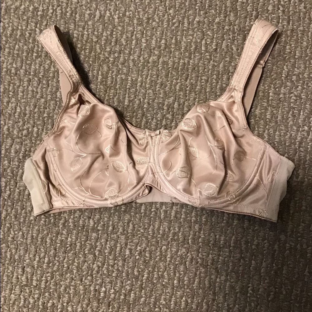 Plus Size Felina Bra